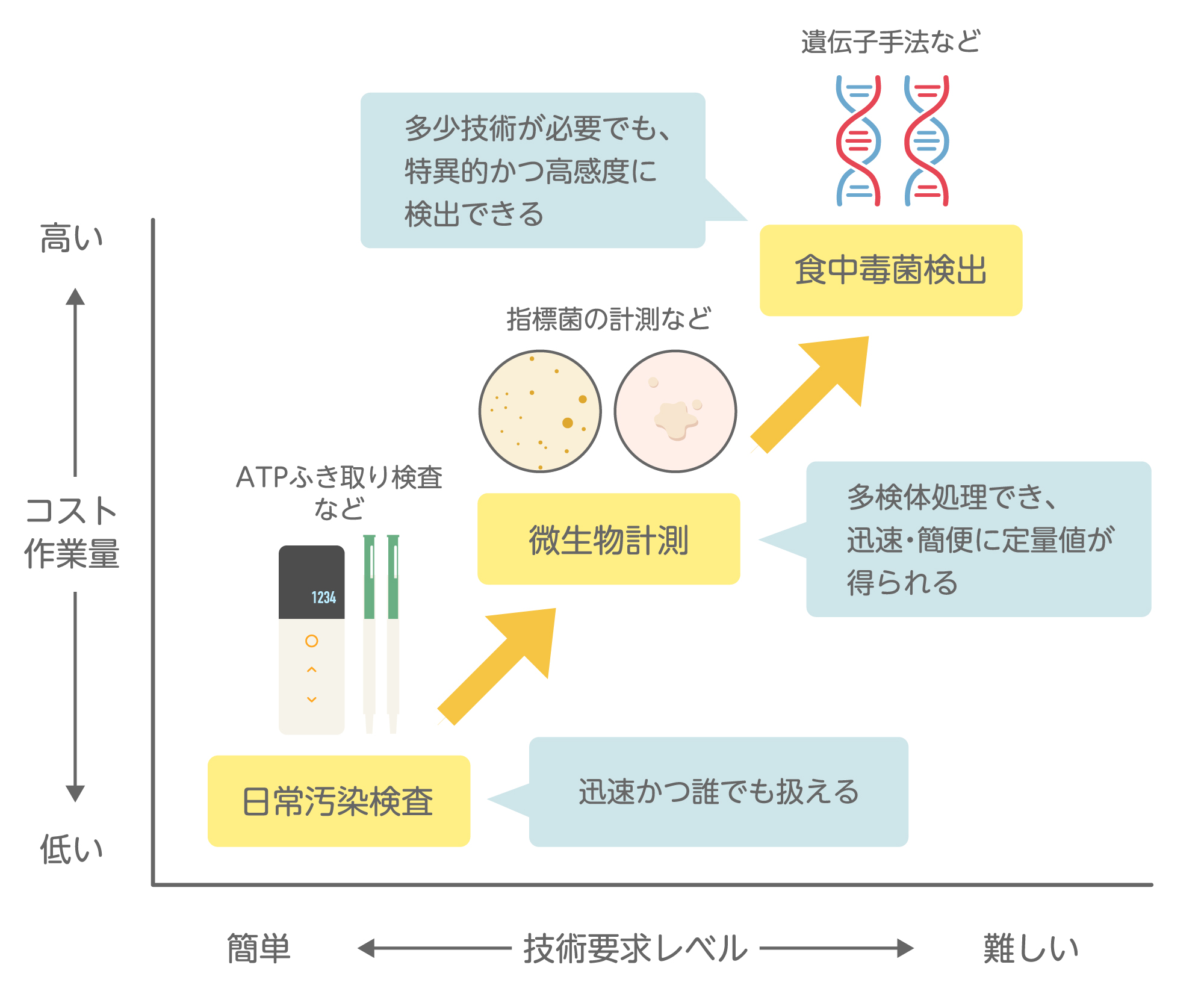 自主衛生検査では目的に合った検査法を選択