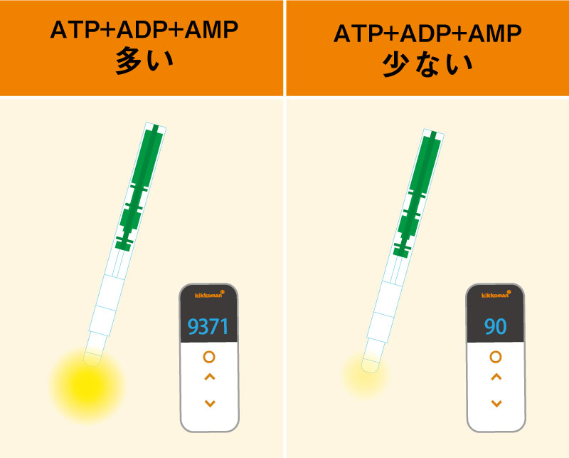 なぜATPを測定するの！？｜ATPふき取り検査（A3法） - キッコーマン ...