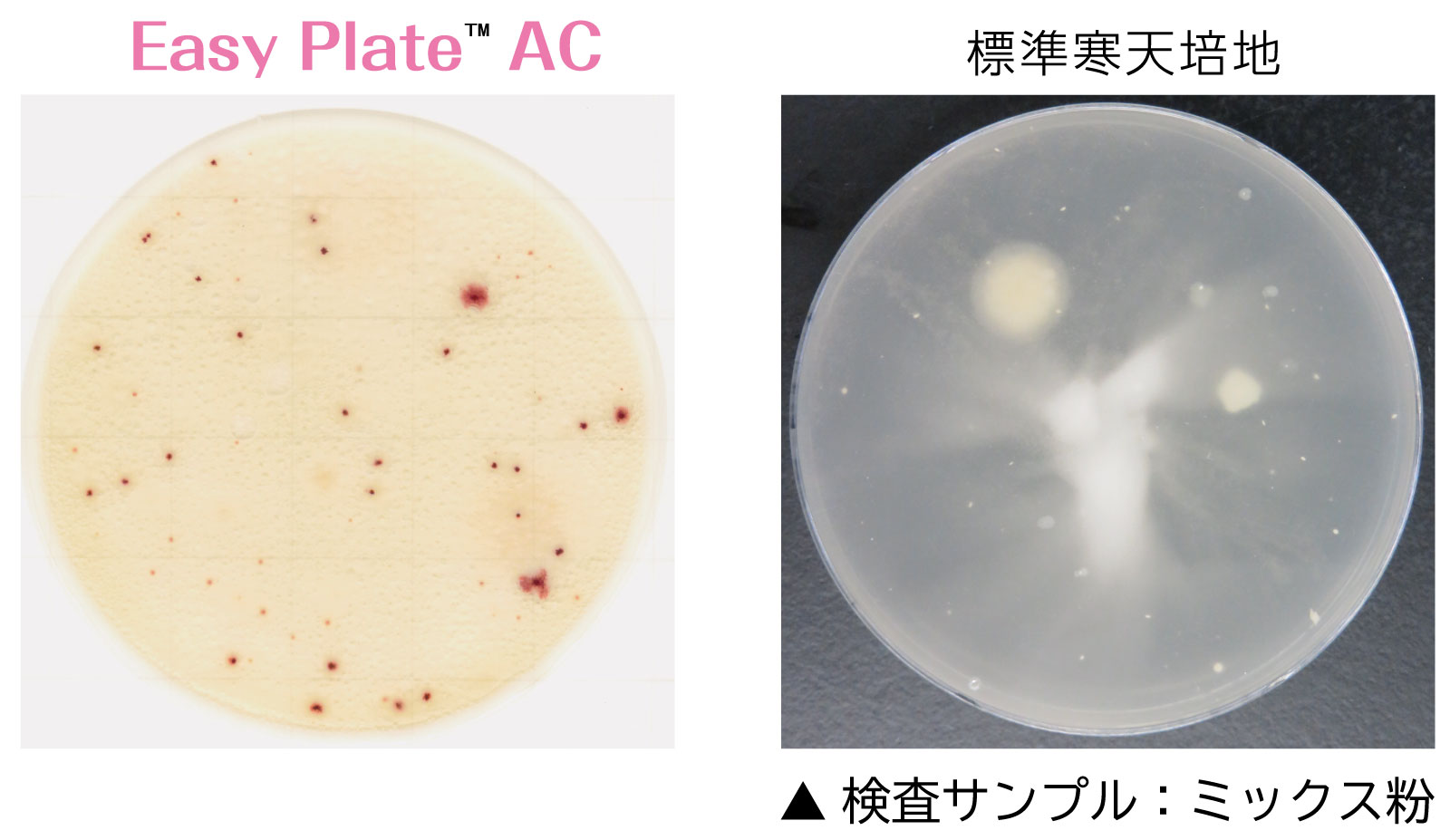一般生菌数測定用 Easy Plate Ac 微生物検査用フィルム培地 Easy Plate 検査キット キッコーマンバイオケミファ