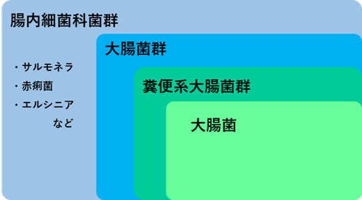画像の説明テキスト