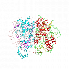 Glutamate Oxidaseグルタミン酸オキシダーゼ